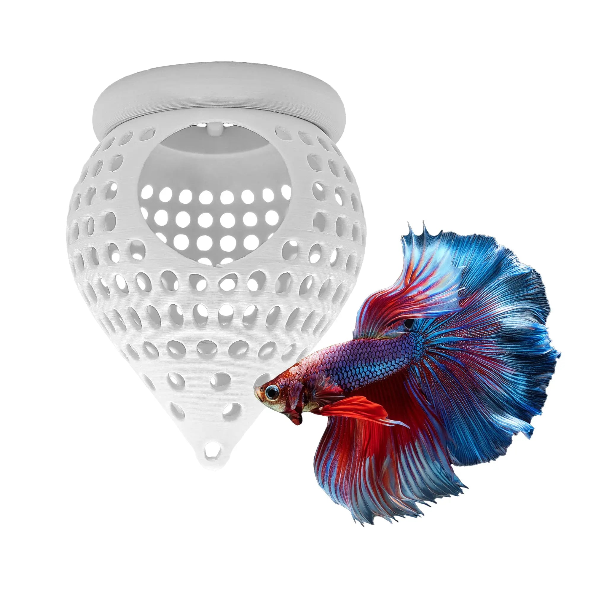 BettaPod Floating Aquarium Cave Log – Betta & Shrimp Hide | Natural Aquascape Decor (Fish Safe) Blubber Cove