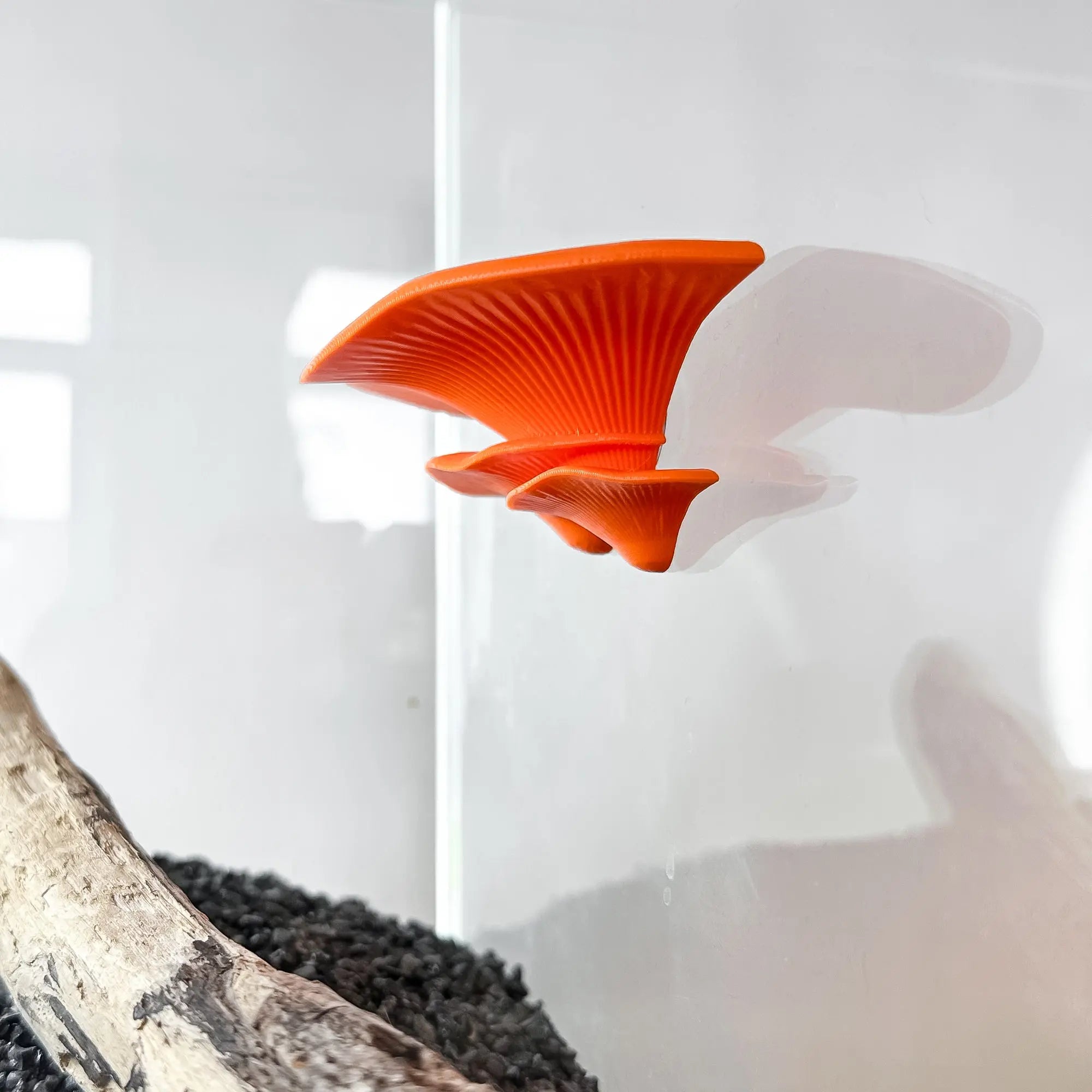 Floating mushroom ledge for bettas, shrimp, and reptiles. Attaches with suction cups. Perfect for aquascaping or amphibian rest spots. Blubber Cove