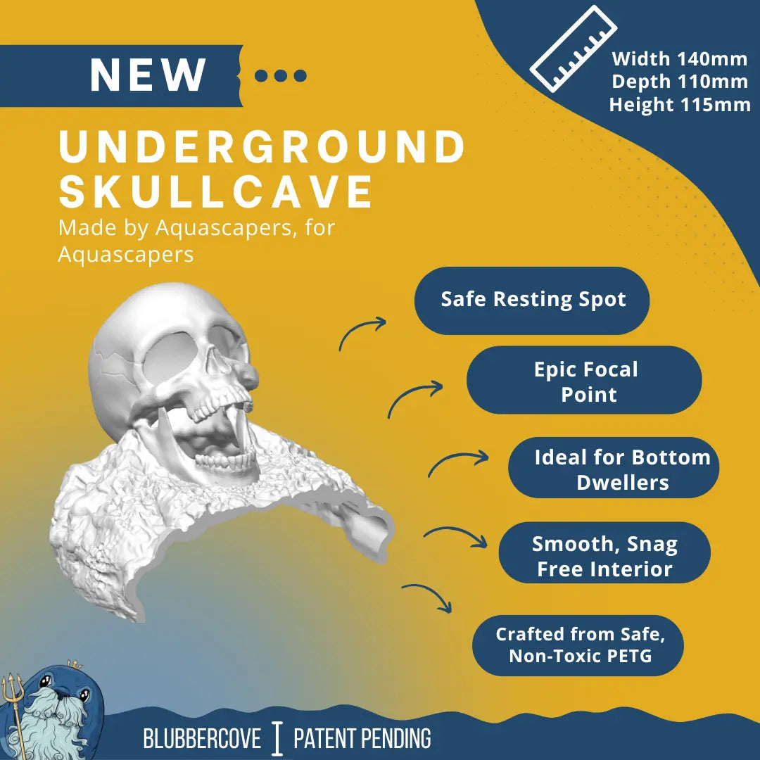 Skull Cave for Aquascaping – Safe Hideout for Betta, Shrimp & Corys Blubber Cove