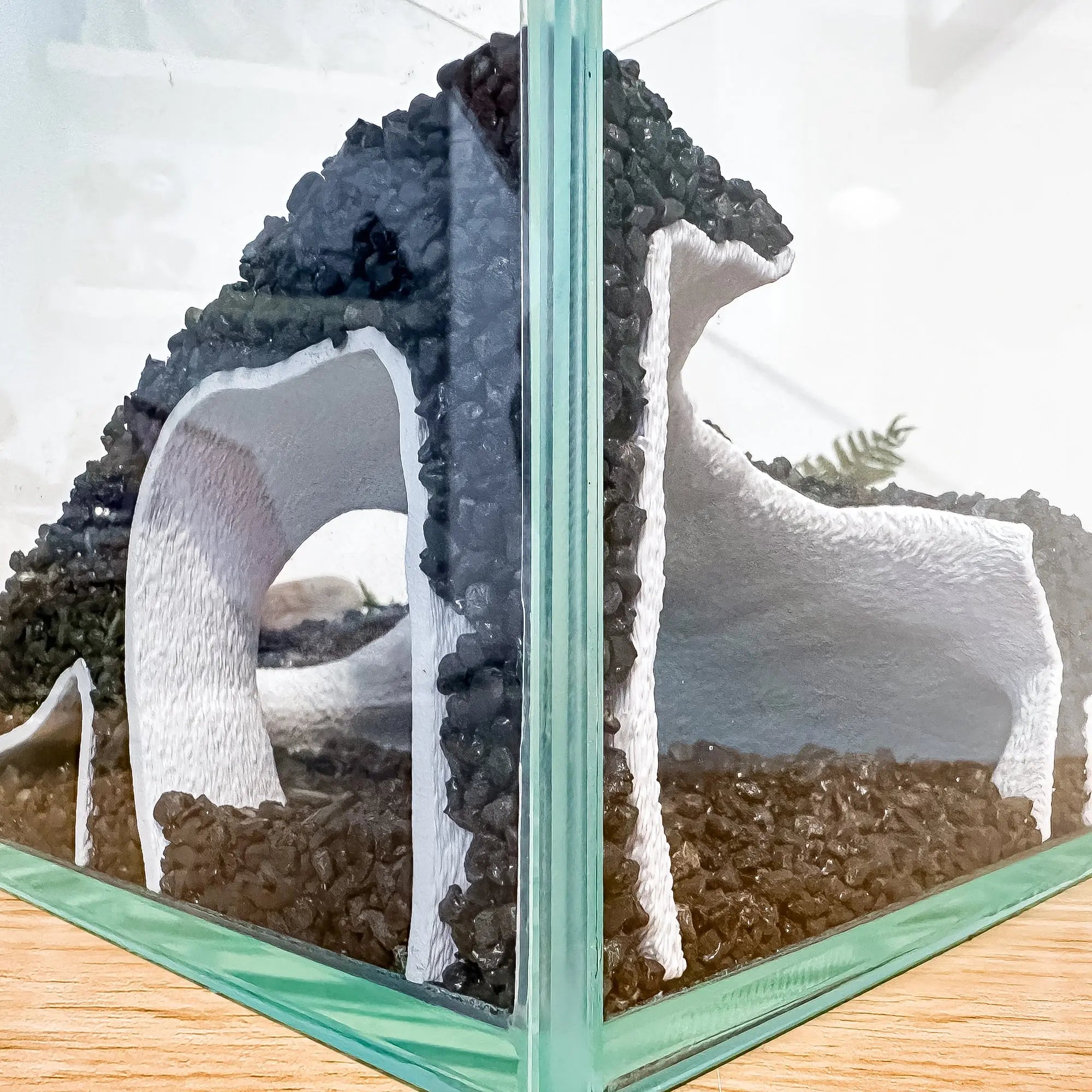 Corner Aquarium Cave Tunnel for Pleco & Shrimp – Large Entrance, Mangrove Style Blubber Cove