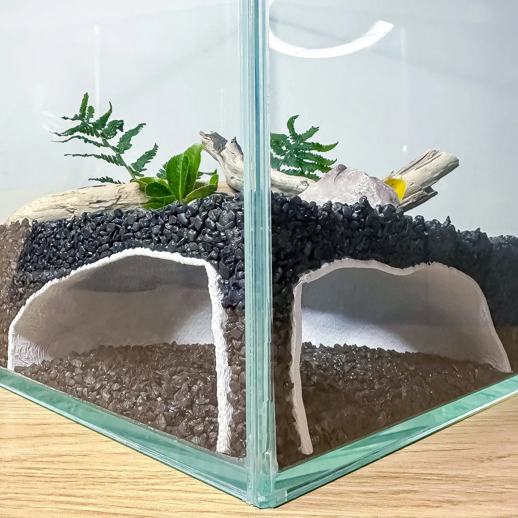 Corner Aquarium Cave Hide for Pleco, Shrimp & Betta | Natural Tank Decor Blubber Cove
