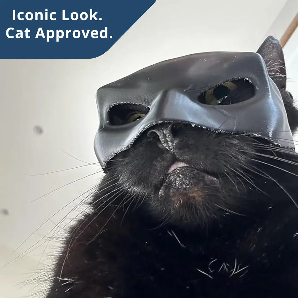 Bat Cat Cosplay Mask – Funny Cat Costume for TikTok, Halloween, Pet Cosplay, Hero Villain Dress Up Blubber Cove
