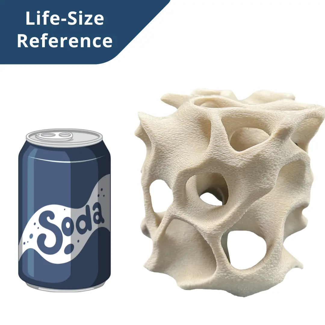 Aquarium Cave for Fish, Shrimp & Plecos – Coral-Style Shelter with 3 Hides for Corydoras, Guppies & Bottom Dwellers Blubber Cove