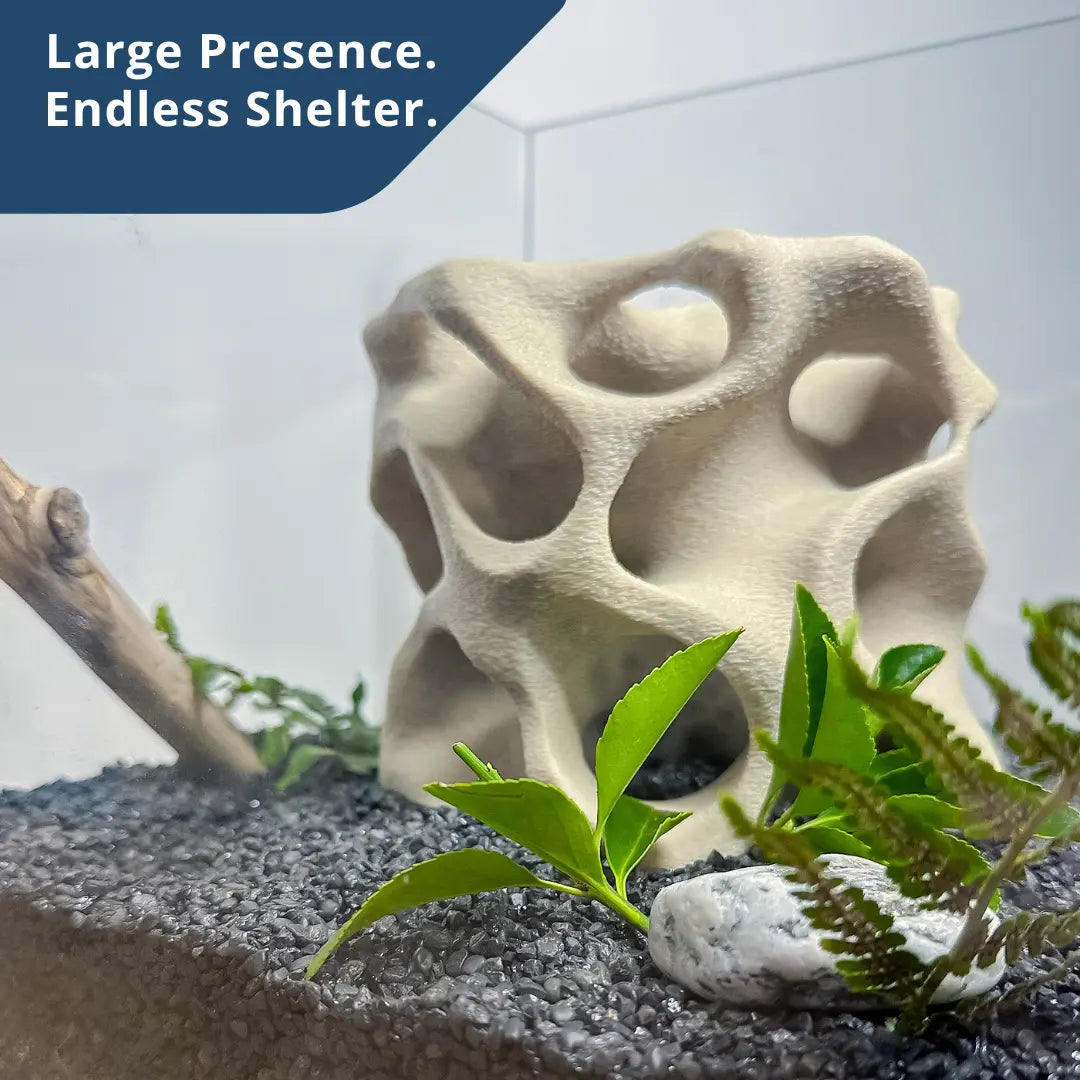 Aquarium Cave for Fish, Shrimp & Plecos – Coral-Style Shelter with 3 Hides for Corydoras, Guppies & Bottom Dwellers Blubber Cove