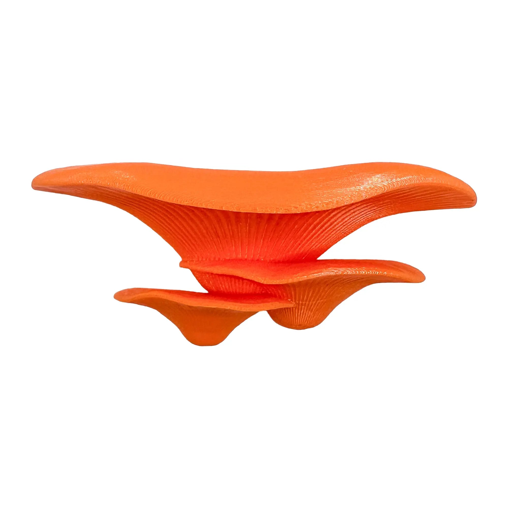 Floating mushroom ledge for bettas, shrimp, and reptiles. Attaches with suction cups. Perfect for aquascaping or amphibian rest spots. Blubber Cove