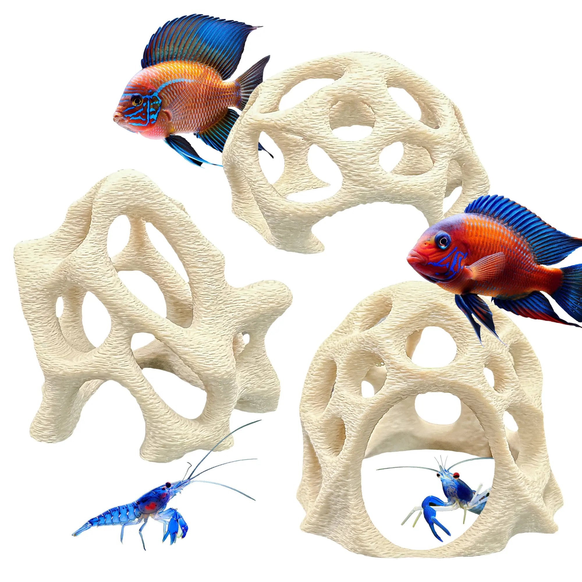 Aquarium Caves Set of 3 – Natural Aquascape Decor for Shrimp, Betta & Nano Fish Blubber Cove