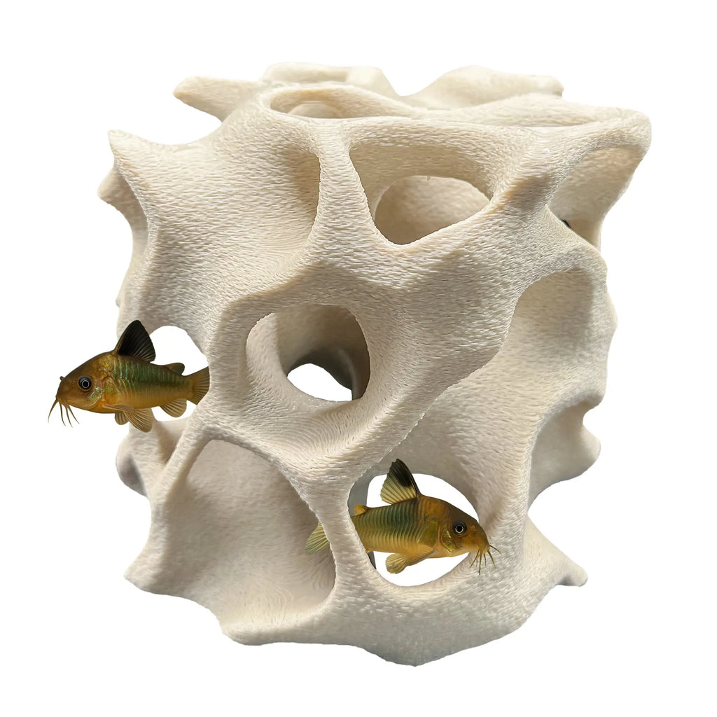 Aquarium Cave for Fish, Shrimp & Plecos – Coral-Style Shelter with 3 Hides for Corydoras, Guppies & Bottom Dwellers Blubber Cove