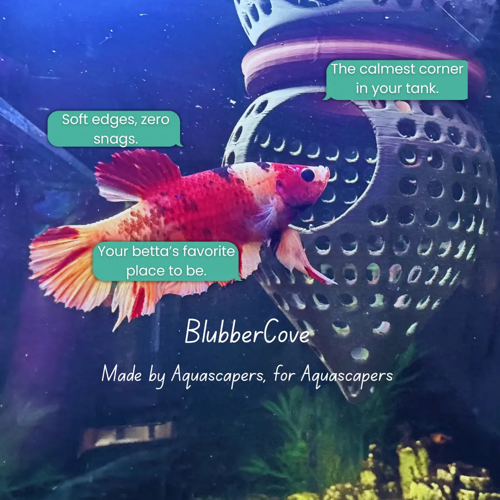 BettaPod Floating Aquarium Cave Log – Betta & Shrimp Hide | Natural Aquascape Decor (Fish Safe) Blubber Cove