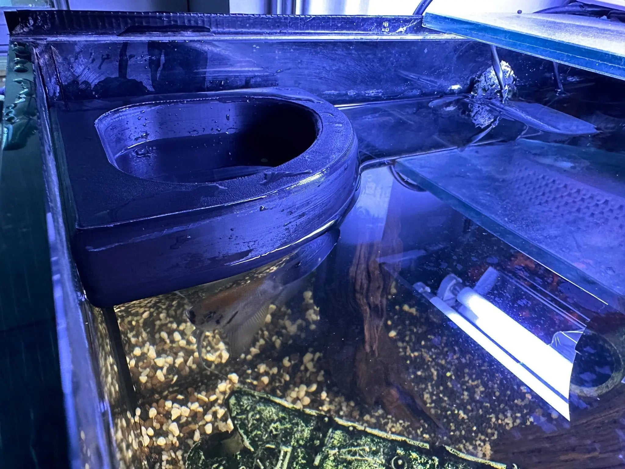 Floating Water Diffuser to Slow Aquarium Flow Rate for Water Changes - Blubber Cove