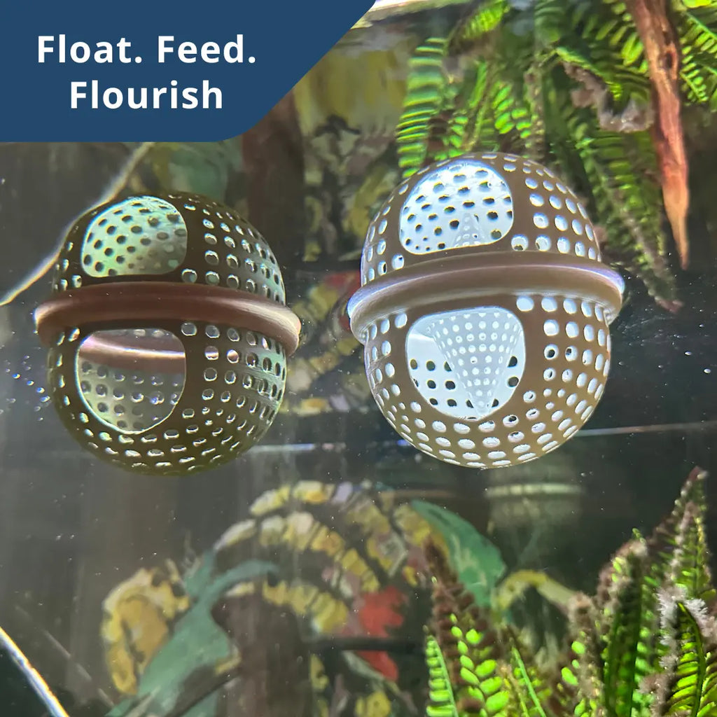 Surface resting spot for betta fish to sleep near water surface.