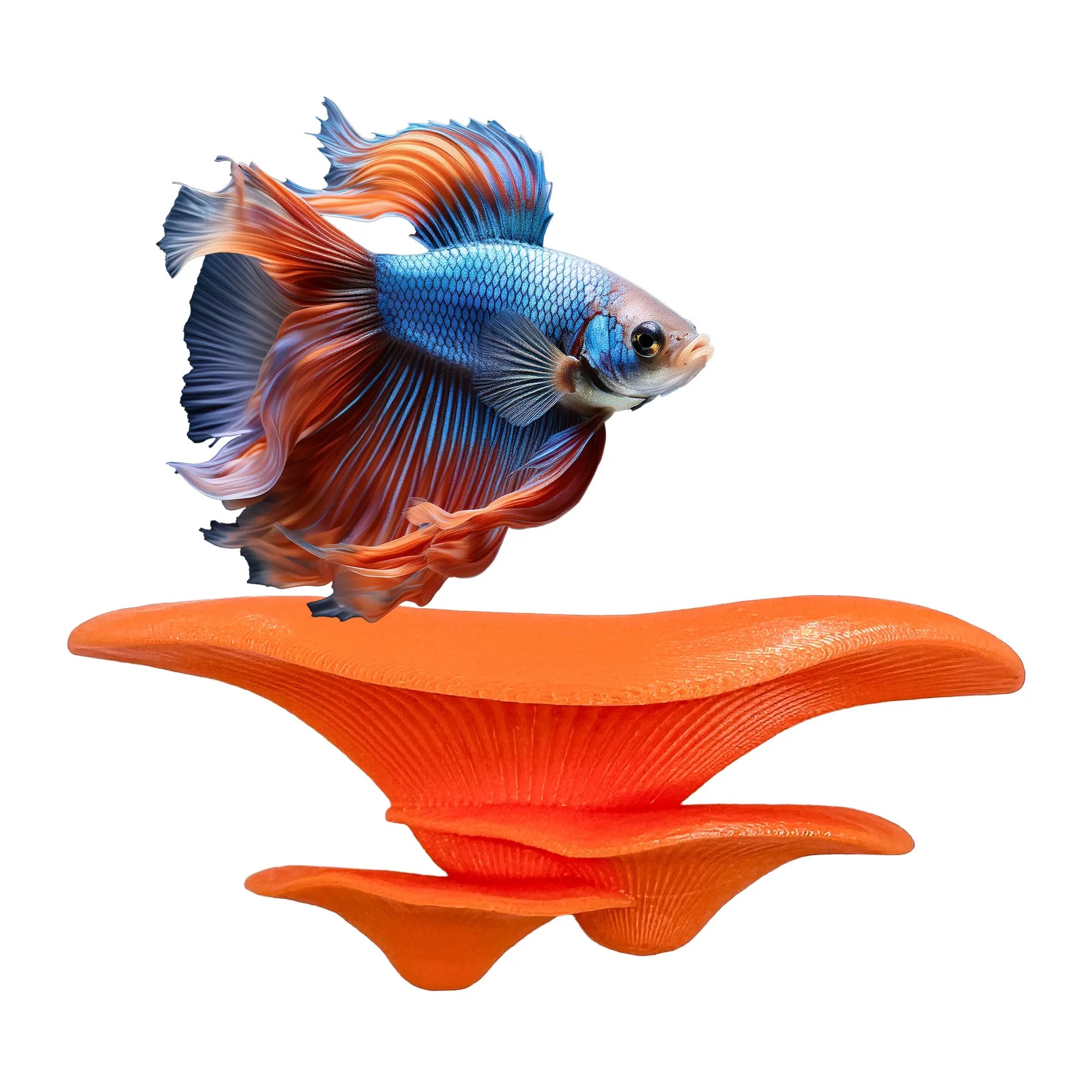 Floating mushroom ledge for bettas, shrimp, and reptiles. Attaches with suction cups. Perfect for aquascaping or amphibian rest spots. Blubber Cove