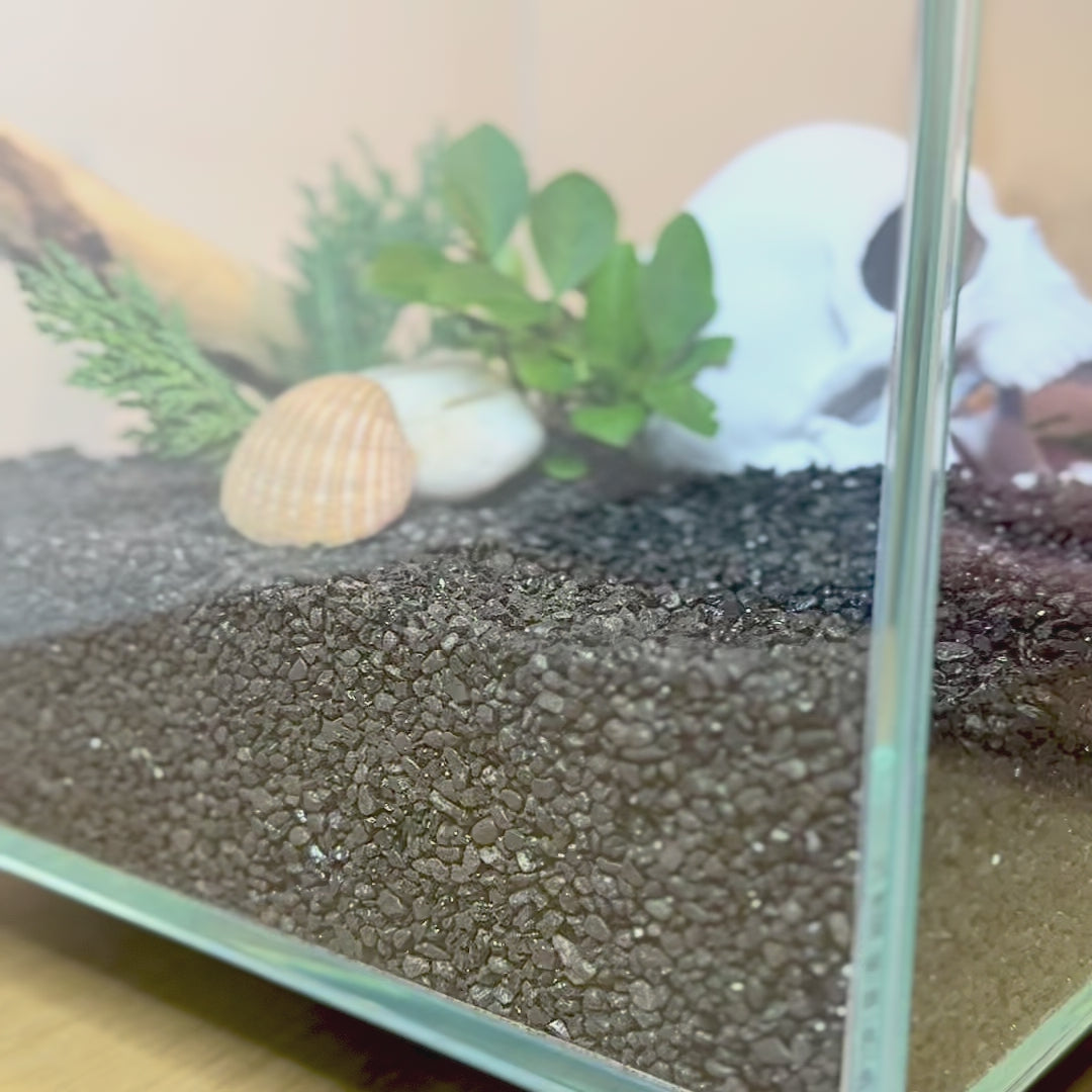 Skull Cave for Aquascaping – Safe Hideout for Betta, Shrimp & Corys