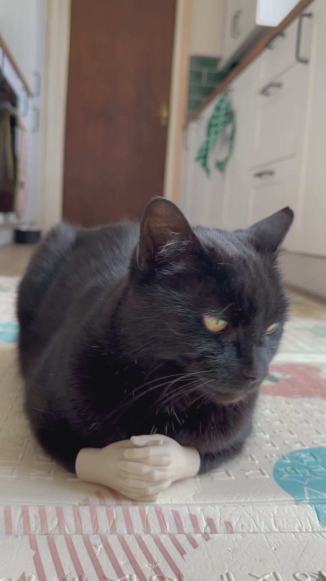 Cat Hands - A Funny Costume and Outfit Accessories Addition. Makes a Great Gift for any pet Enthusiast!