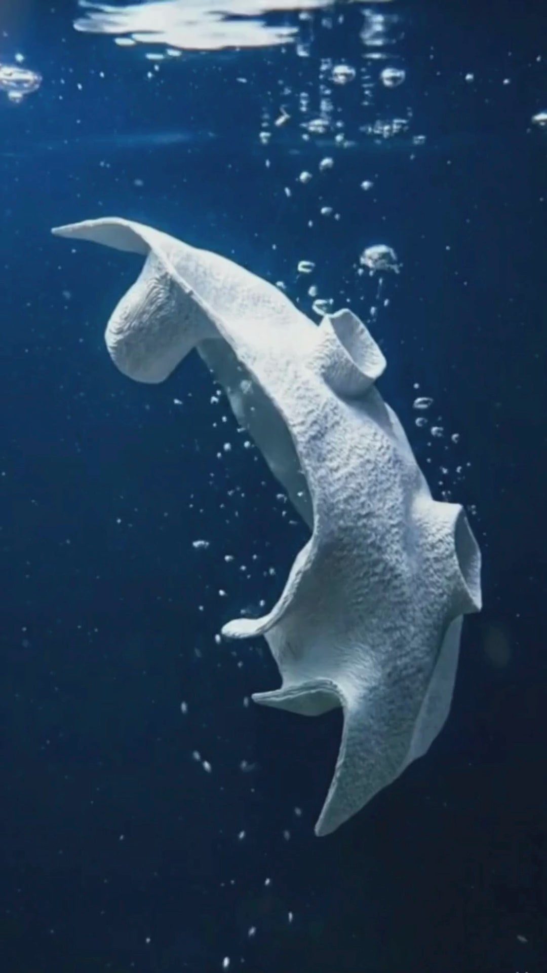 Large Aquarium Cave for Shrimp, Betta & Bottom Dwellers