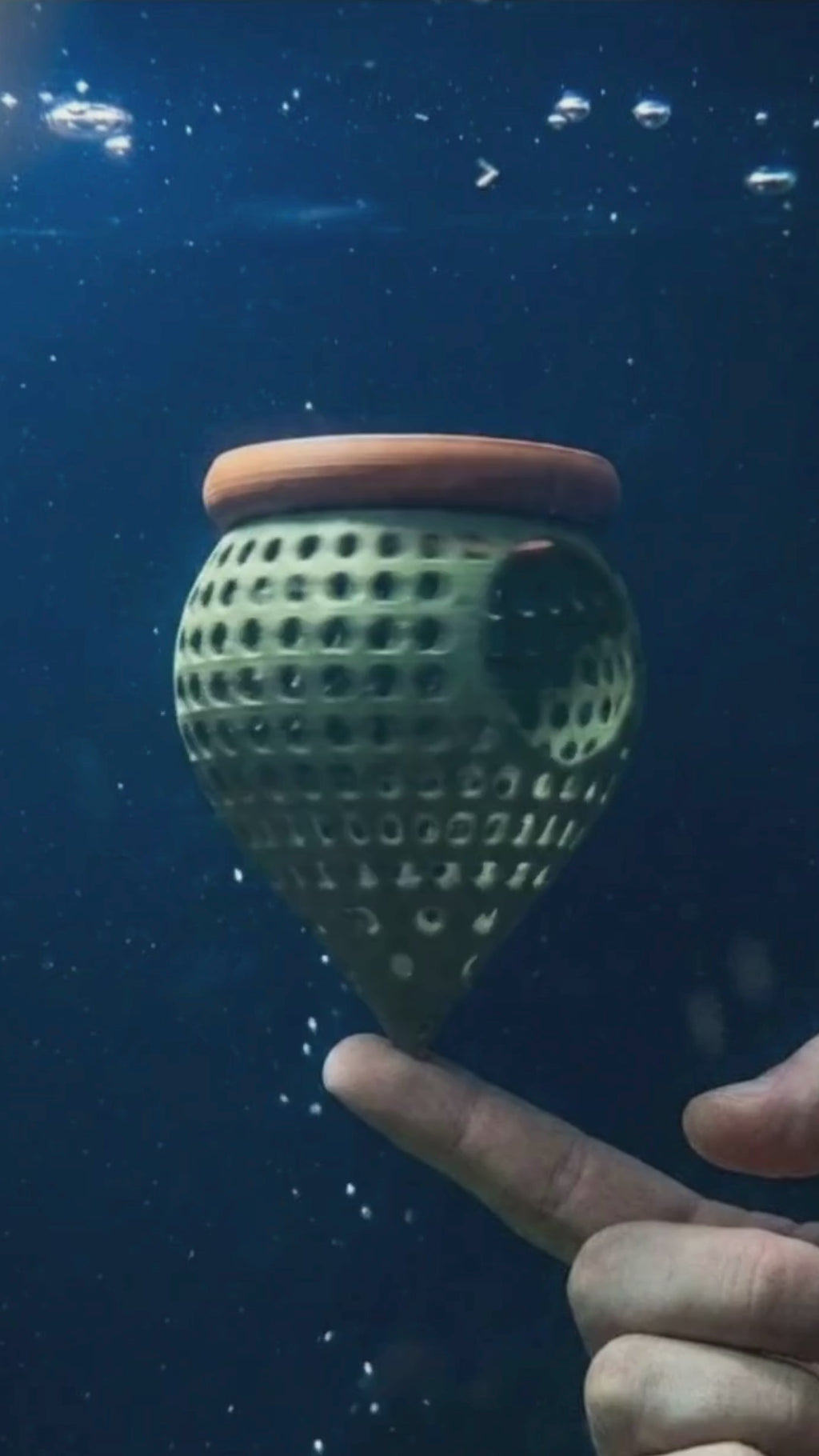 BettaPod Floating Aquarium Cave Log – Betta & Shrimp Hide | Natural Aquascape Decor (Fish Safe)