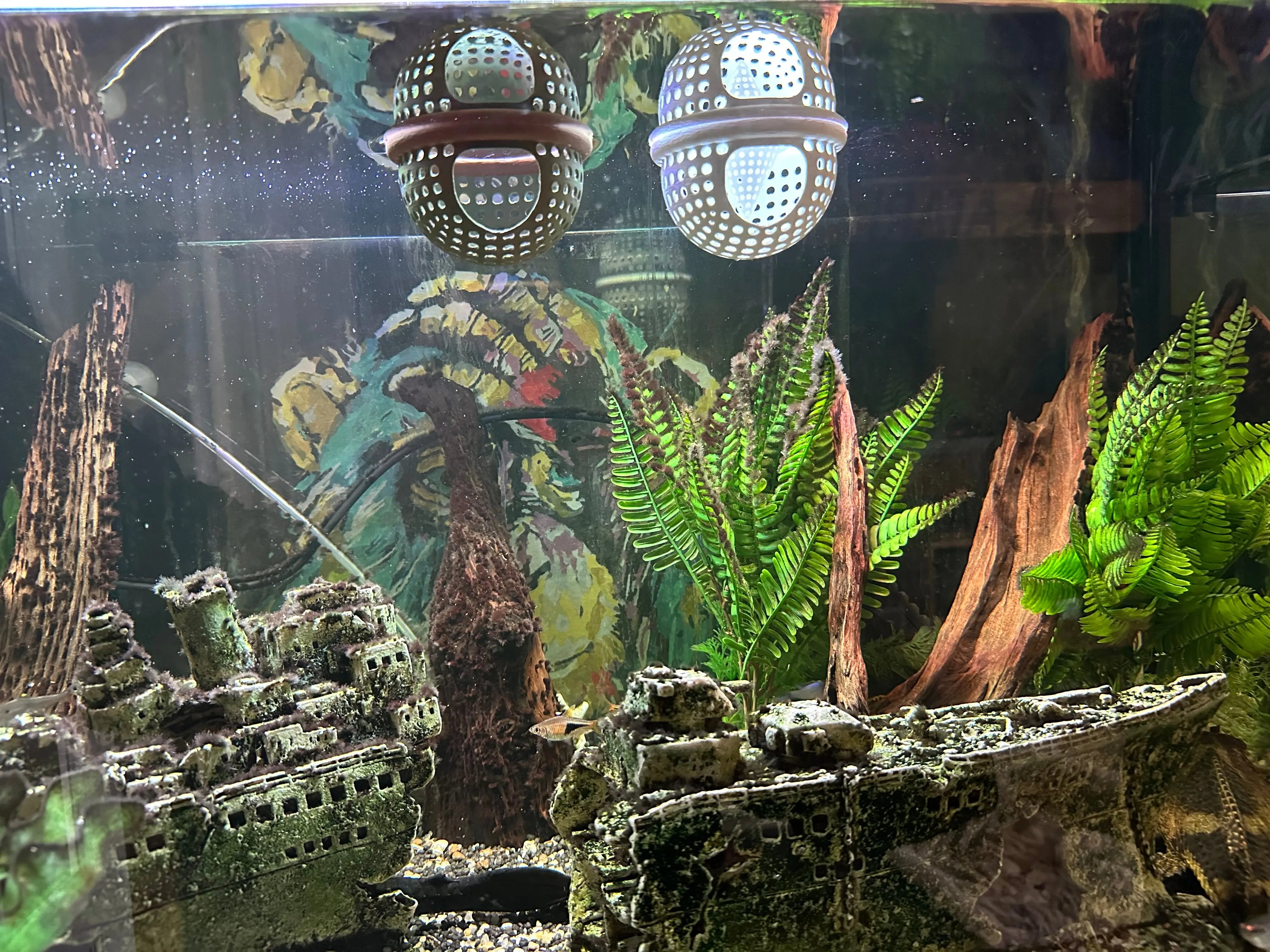 Secure surface hiding spot for shy tropical fish.